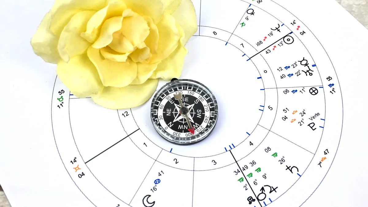 bad boss: zodiac wheel career chart illustration