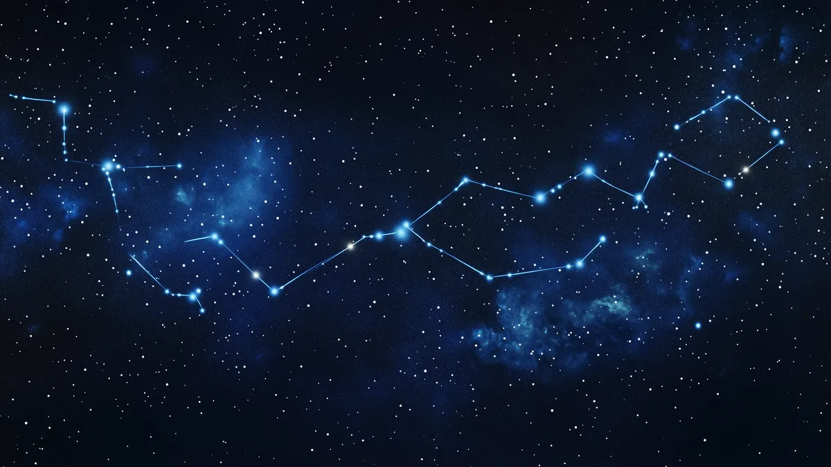 should i quit my job: zodiac constellation night sky illustration
